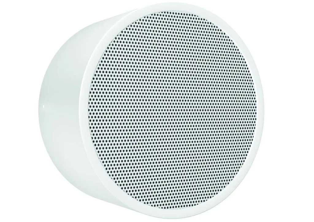 DAR-1000-10 PA wall and ceiling speaker