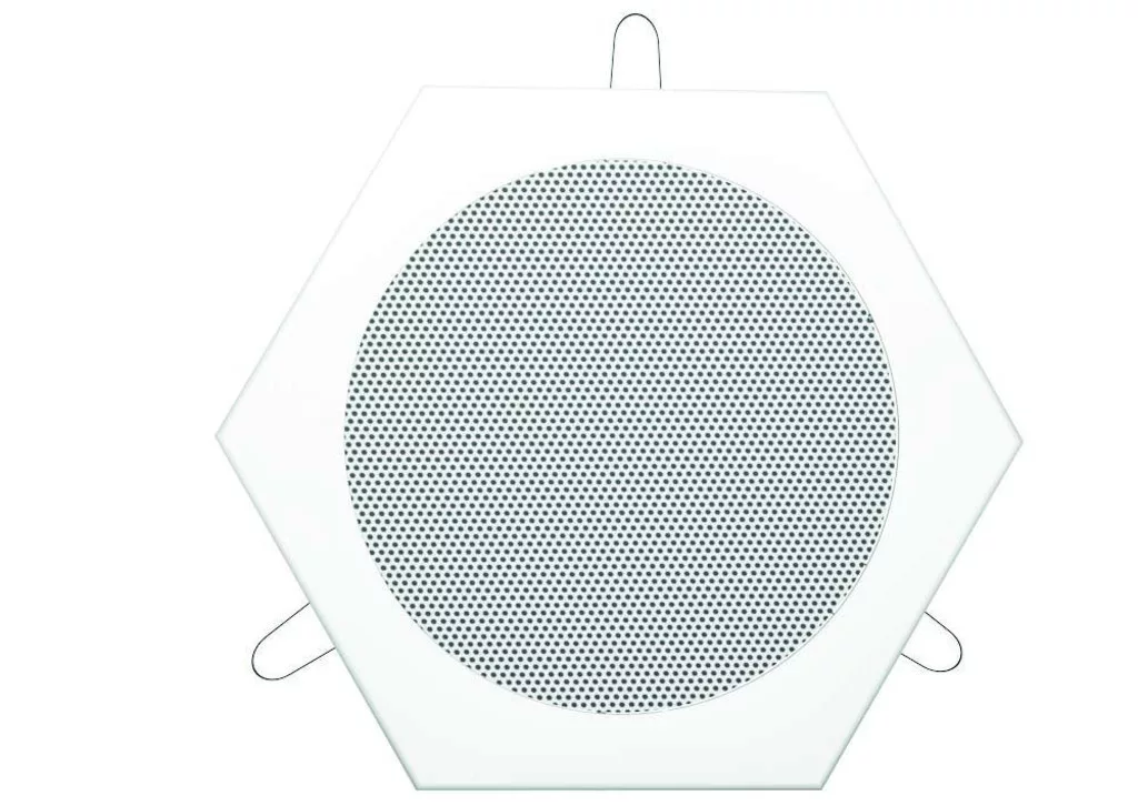 WDE-130-10 PA ceiling speaker