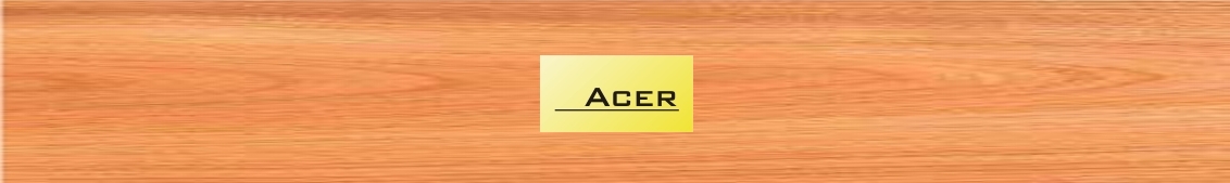 Worldmix ACER PT 15 RC - karmesteri pálcatok cseresznyefából, 50x25 mm méretű gravírozott réztáblával