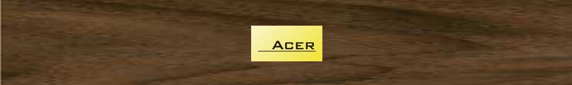 Worldmix ACER PT 15 RD - karmesteri pálcatok diófából, 50x25 mm méretű gravírozott réztáblával